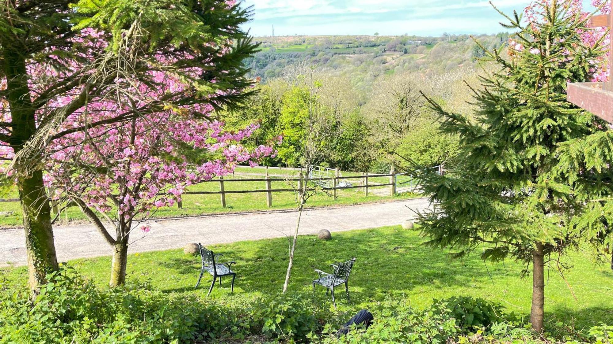 The Old Mountain Stables Caerllwyn Ganol Farm Apartment Нюпорт Екстериор снимка