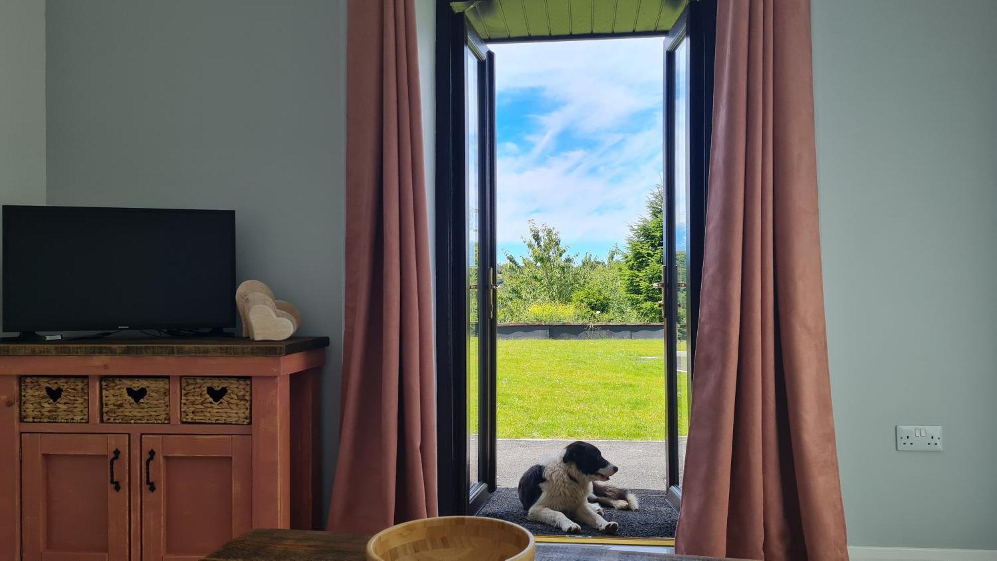 The Old Mountain Stables Caerllwyn Ganol Farm Apartment Нюпорт Стая снимка